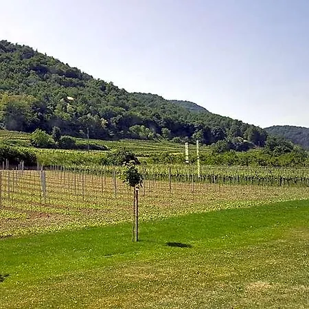 Zur Wachau Hotel