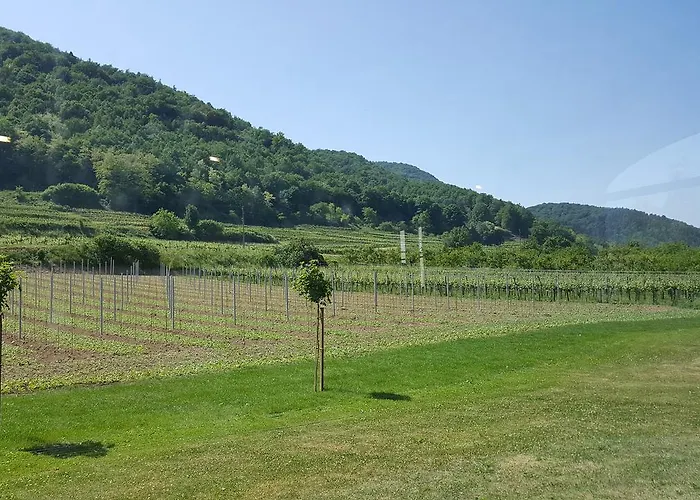 Zur Wachau Hofarnsdorf